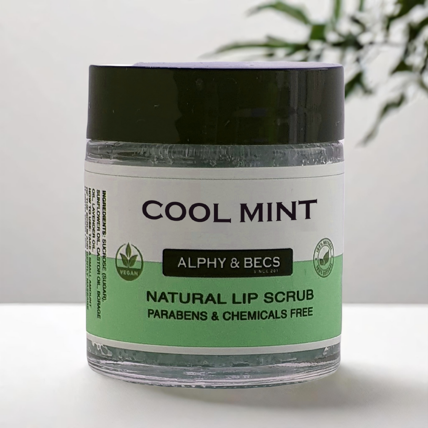 Sugar Lip Scrub - Cool Mint - Vegan - 30gr.